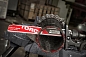   . THE TORCH NITRUS 230 TCT
