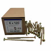   TCC 6120  (100)